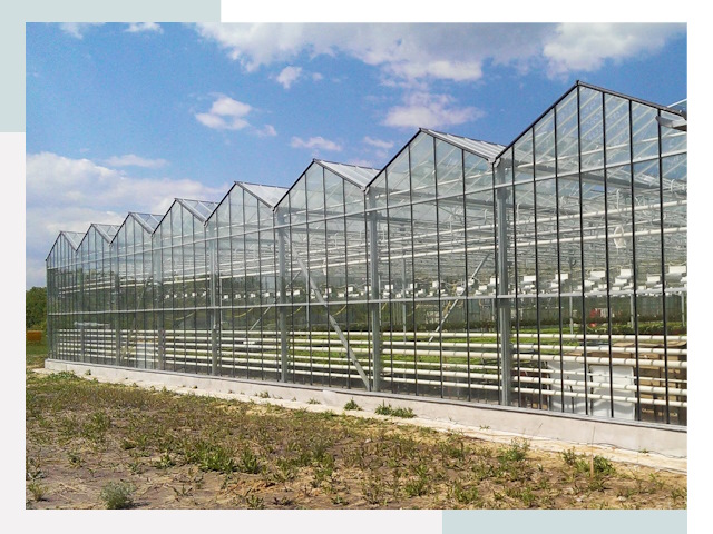 Строительство теплиц в Шелехов от 643 руб. за м²